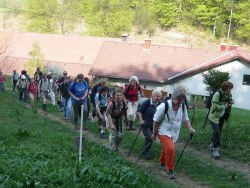 Aufstieg beim Bauern in Thalhof  <> Fusswallfahrt nach Mariazell 2009 � Pfarre St. Othmar in M�dling