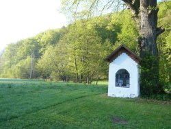 Marterl vor Furth  <> Fusswallfahrt nach Mariazell 2009 � Pfarre St. Othmar in M�dling