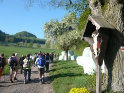 Aufstieg von Furth nach Am�d zum Gaisstein <> Fusswallfahrt nach Mariazell 2009 � Pfarre St. Othmar in M�dling