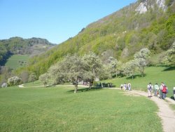 am Weg nach Himmelsreith  <> Fusswallfahrt nach Mariazell 2009 � Pfarre St. Othmar in M�dling