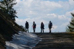 zwischen Kieneck und Unterberg   <> Fusswallfahrt nach Mariazell 2009 � Pfarre St. Othmar in M�dling