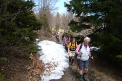   Schnee zwischen Kieneck und Unterberg  <> Fusswallfahrt nach Mariazell 2009 � Pfarre St. Othmar in M�dling