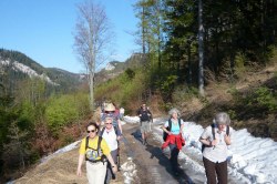 unterhalb der Leitermauern    <> Fusswallfahrt nach Mariazell 2009 � Pfarre St. Othmar in M�dling