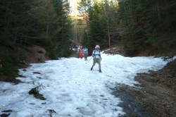Abstieg zum Ghf Furtner  <> Fusswallfahrt nach Mariazell 2009 � Pfarre St. Othmar in M�dling