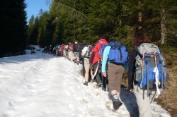 dicke Schneedecke beim Aufstieg zum Raingraben  <> Fusswallfahrt nach Mariazell 2009 � Pfarre St. Othmar in M�dling