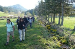 beim Zellerbach vor Rohr  <> Fusswallfahrt nach Mariazell 2009 � Pfarre St. Othmar in M�dling