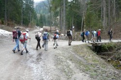 Aufstieg vom Finstergrundgraben zum Hochreit  <> Fusswallfahrt nach Mariazell 2009 � Pfarre St. Othmar in M�dling