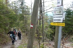 steiler Abstieg vom Hochreit  <> Fusswallfahrt nach Mariazell 2009 � Pfarre St. Othmar in M�dling