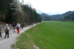 gr�ne Wiese vor Seebach  <> Fusswallfahrt nach Mariazell 2009 � Pfarre St. Othmar in M�dling