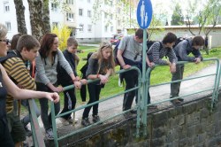 an der Traisen in St. Aegyd  <> Fusswallfahrt nach Mariazell 2009 � Pfarre St. Othmar in M�dling
