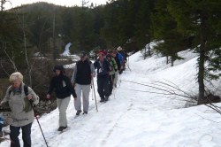 und wieder Schnee vor dem Krumbach Sattel  <> Fusswallfahrt nach Mariazell 2009 � Pfarre St. Othmar in M�dling