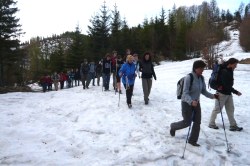 Krumbach Sattel   <> Fusswallfahrt nach Mariazell 2009 � Pfarre St. Othmar in M�dling