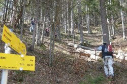Abzweig zum Hochreit  <> Fusswallfahrt nach Mariazell 2009 � Pfarre St. Othmar in M�dling