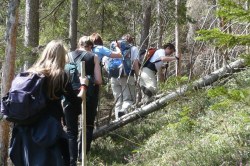 Aufstieg zum Hochreit  <> Fusswallfahrt nach Mariazell 2009 � Pfarre St. Othmar in M�dling
