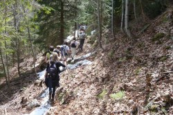Aufstieg zum Hochreit   <> Fusswallfahrt nach Mariazell 2009 � Pfarre St. Othmar in M�dling
