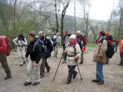 ZUM VERGR�SSERN DRAUFKLICKEN - Fusswallfahrt nach Mariazell 2010 � Pfarre St. Othmar in M�dling