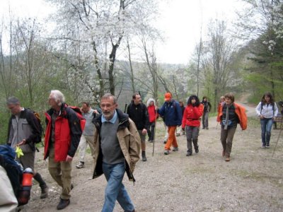ZUM VERGR�SSERN DRAUFKLICKEN - Fusswallfahrt nach Mariazell 2010 � Pfarre St. Othmar in M�dling