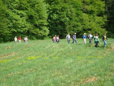 ZUM VERGR�SSERN DRAUFKLICKEN - Fusswallfahrt nach Mariazell 2011 � Pfarre St. Othmar in M�dling