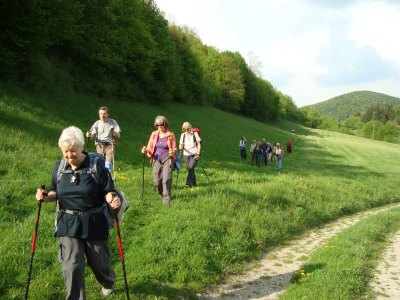 ZUM VERGR�SSERN DRAUFKLICKEN - Fusswallfahrt nach Mariazell 2011 � Pfarre St. Othmar in M�dling