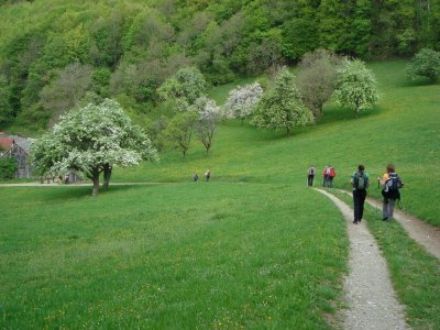 Fusswallfahrt nach Mariazell 2011 � Pfarre St. Othmar in M�dling