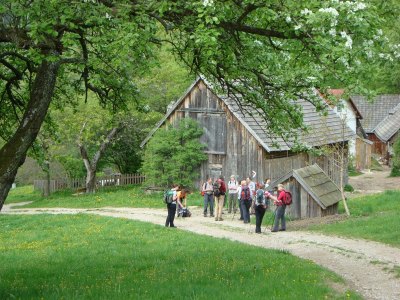 Fusswallfahrt nach Mariazell 2011 � Pfarre St. Othmar in M�dling