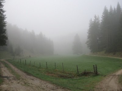Fusswallfahrt nach Mariazell 2011 � Pfarre St. Othmar in M�dling