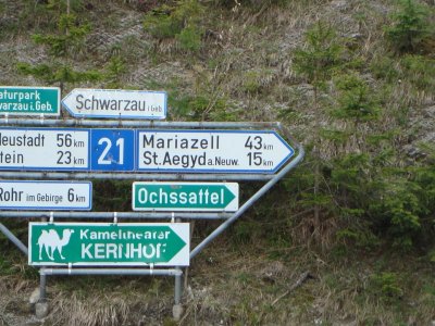 Fusswallfahrt nach Mariazell 2011 � Pfarre St. Othmar in M�dling