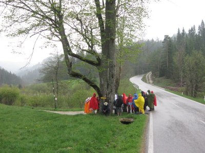 Fusswallfahrt nach Mariazell 2011 � Pfarre St. Othmar in M�dling