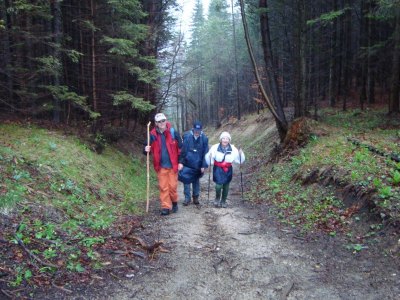 Fusswallfahrt nach Mariazell 2011 � Pfarre St. Othmar in M�dling