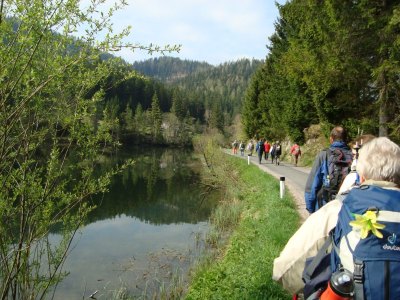 Fusswallfahrt nach Mariazell 2011 � Pfarre St. Othmar in M�dling