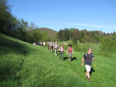 ZUM VERGR�SSERN DRAUFKLICKEN - Fusswallfahrt nach Mariazell 2012 � Pfarre St. Othmar in M�dling