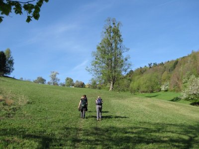 ZUM VERGR�SSERN DRAUFKLICKEN - Fusswallfahrt nach Mariazell 2012 � Pfarre St. Othmar in M�dling