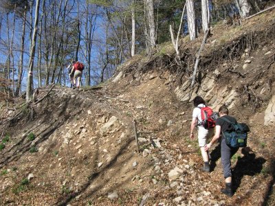 ZUM VERGR�SSERN DRAUFKLICKEN - Fusswallfahrt nach Mariazell 2012 � Pfarre St. Othmar in M�dling