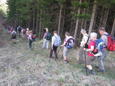 ZUM VERGR�SSERN DRAUFKLICKEN - Fusswallfahrt nach Mariazell 2012 � Pfarre St. Othmar in M�dling