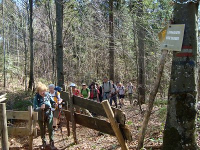 ZUM VERGR�SSERN DRAUFKLICKEN - Fusswallfahrt nach Mariazell 2012 � Pfarre St. Othmar in M�dling