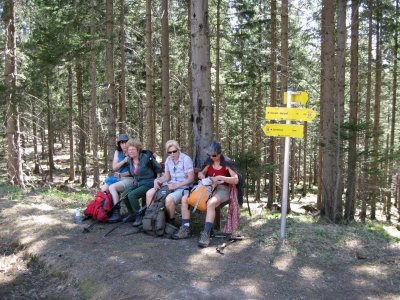ZUM VERGR�SSERN DRAUFKLICKEN - Fusswallfahrt nach Mariazell 2012 � Pfarre St. Othmar in M�dling