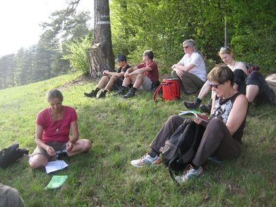 ZUM VERGR�SSERN DRAUFKLICKEN - Fusswallfahrt nach Mariazell 2013 � Pfarre St. Othmar in M�dling