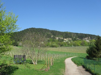 ZUM VERGR�SSERN DRAUFKLICKEN - Fusswallfahrt nach Mariazell 2013 � Pfarre St. Othmar in M�dling