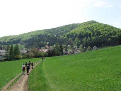 ZUM VERGR�SSERN DRAUFKLICKEN - Fusswallfahrt nach Mariazell 2013 � Pfarre St. Othmar in M�dling