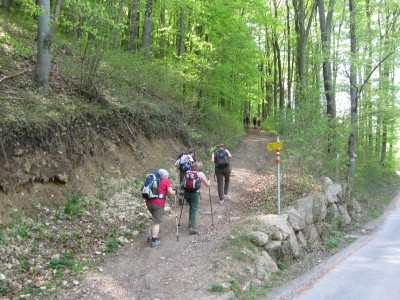 ZUM VERGR�SSERN DRAUFKLICKEN - Fusswallfahrt nach Mariazell 2013 � Pfarre St. Othmar in M�dling