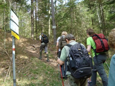 ZUM VERGR�SSERN DRAUFKLICKEN - Fusswallfahrt nach Mariazell 2013 � Pfarre St. Othmar in M�dling
