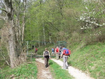 ZUM VERGR�SSERN DRAUFKLICKEN - Fusswallfahrt nach Mariazell 2013 � Pfarre St. Othmar in M�dling