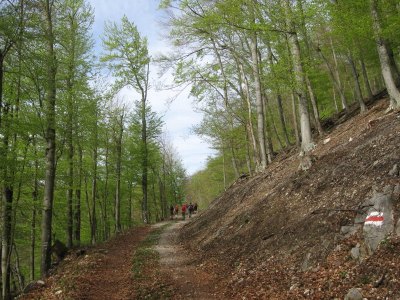 ZUM VERGR�SSERN DRAUFKLICKEN - Fusswallfahrt nach Mariazell 2013 � Pfarre St. Othmar in M�dling