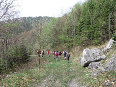 ZUM VERGR�SSERN DRAUFKLICKEN - Fusswallfahrt nach Mariazell 2013 � Pfarre St. Othmar in M�dling
