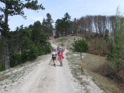 ZUM VERGR�SSERN DRAUFKLICKEN - Fusswallfahrt nach Mariazell 2013 � Pfarre St. Othmar in M�dling