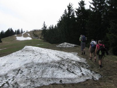 ZUM VERGR�SSERN DRAUFKLICKEN - Fusswallfahrt nach Mariazell 2013 � Pfarre St. Othmar in M�dling