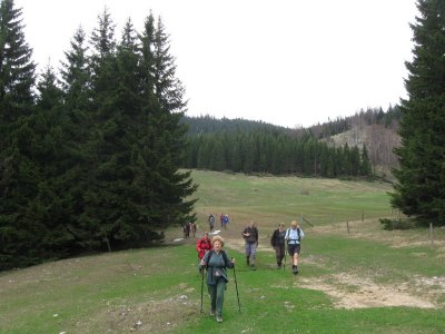ZUM VERGR�SSERN DRAUFKLICKEN - Fusswallfahrt nach Mariazell 2013 � Pfarre St. Othmar in M�dling