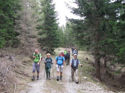 ZUM VERGR�SSERN DRAUFKLICKEN - Fusswallfahrt nach Mariazell 2013 � Pfarre St. Othmar in M�dling