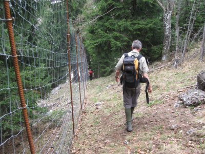 ZUM VERGR�SSERN DRAUFKLICKEN - Fusswallfahrt nach Mariazell 2013 � Pfarre St. Othmar in M�dling