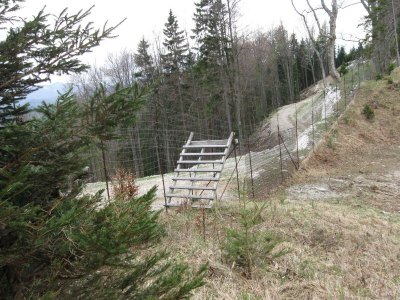 ZUM VERGR�SSERN DRAUFKLICKEN - Fusswallfahrt nach Mariazell 2013 � Pfarre St. Othmar in M�dling